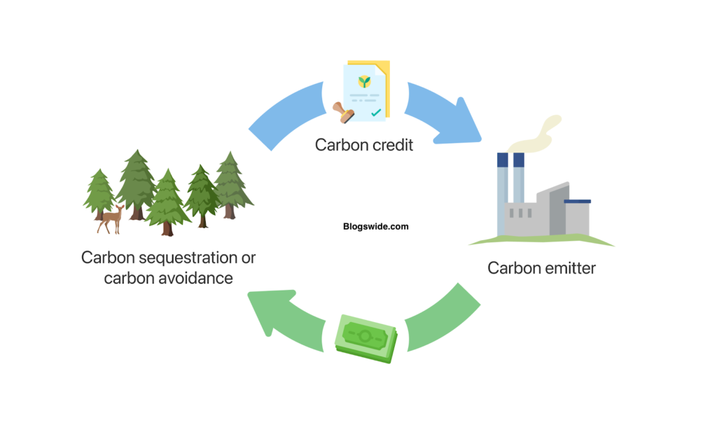 Benefits of Carbon Offsets 