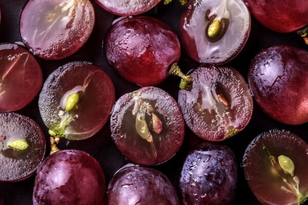 can you use coconut coir for preparing muscadine seeds